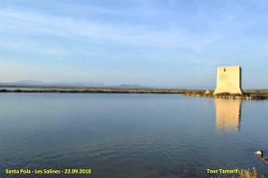 33 SANTA POLA LES SALINES (40)